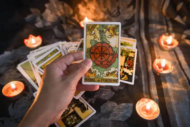 tarot cards Naylor